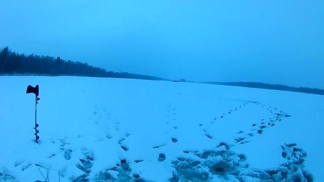 Рыбалка на жерлицы.Ловля щуки на живца. смотреть онлайн