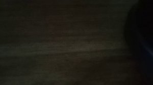 1000100412.mp4лего