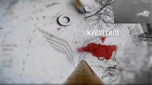 Живая сила противника. По боевикам ВСУ «Рубикон» наносит разящие удары