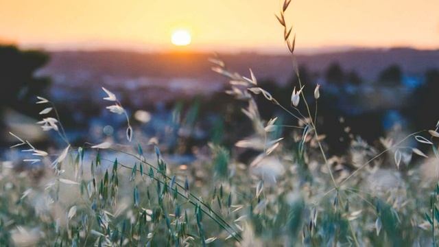 Сура 23 "Аль-Му'минун" (Верующие) красивое чтение Корана смотреть онлайн