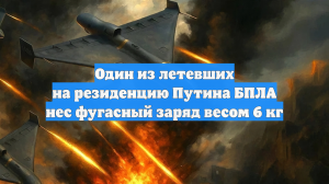Один из летевших на резиденцию Путина БПЛА нес фугасный заряд весом 6 кг