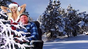 Новогодняя