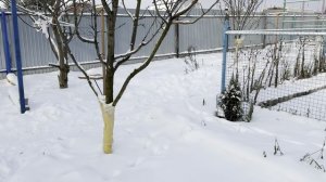 ВСЕХ С НАСТУПАЮЩИМ НОВЫМ ГОДОМ!