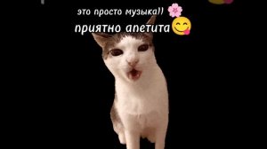 приятная музыка)) 🌸_релакс_спаты 😴