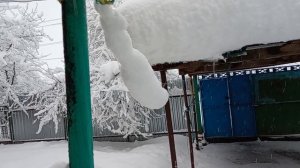 Юг заваливает снегом ❄❄❄