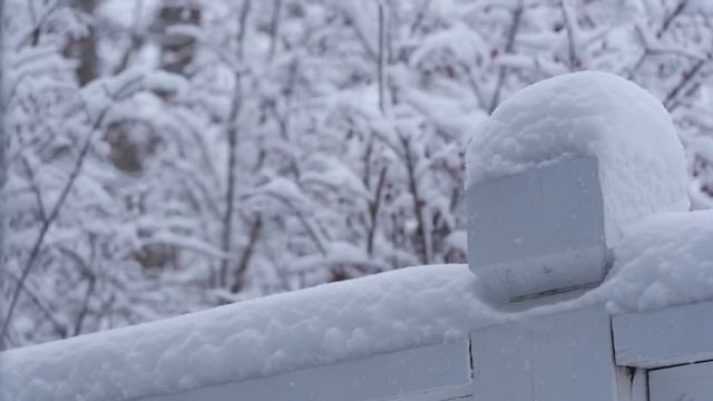 5 января - Наденьте этот цвет и счастье найдёт вас. смотреть онлайн
