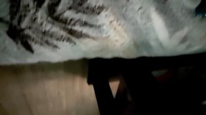 Всех с наступающим! 🥳🥳🥳🥳🥶(особенно поздравляю Brawlofendi, Del и Raf.Snickers.Fan