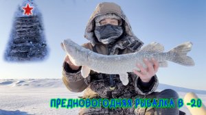 Ловлю на одну приманку. Предновогодняя рыбалка в -20 #зимняярыбалка #рыбалка #deeper #щука #pike