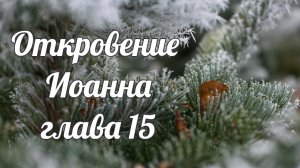 Откровение Иоанна глава 15