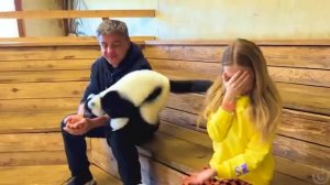 Настя работает няней для животных