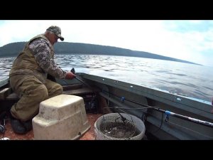 Рыбалка на Хариуса