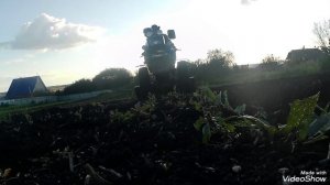 Мотоблок Скаут.  готовлю почву под посадку чеснока.