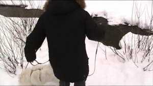 Предновогодняя фото сейсия