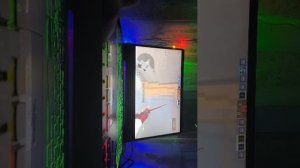 новогодний стримчик