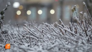 Новогодний микрофон