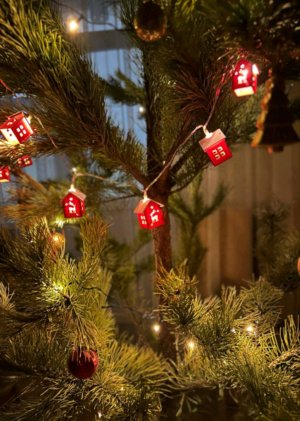 с новым годом 🎄