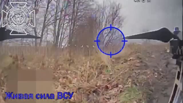 Привет! смотреть онлайн