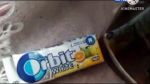 Смена Логотипа В Время Рекламы (Россия HD Варя, 27.09.2025) 05:00