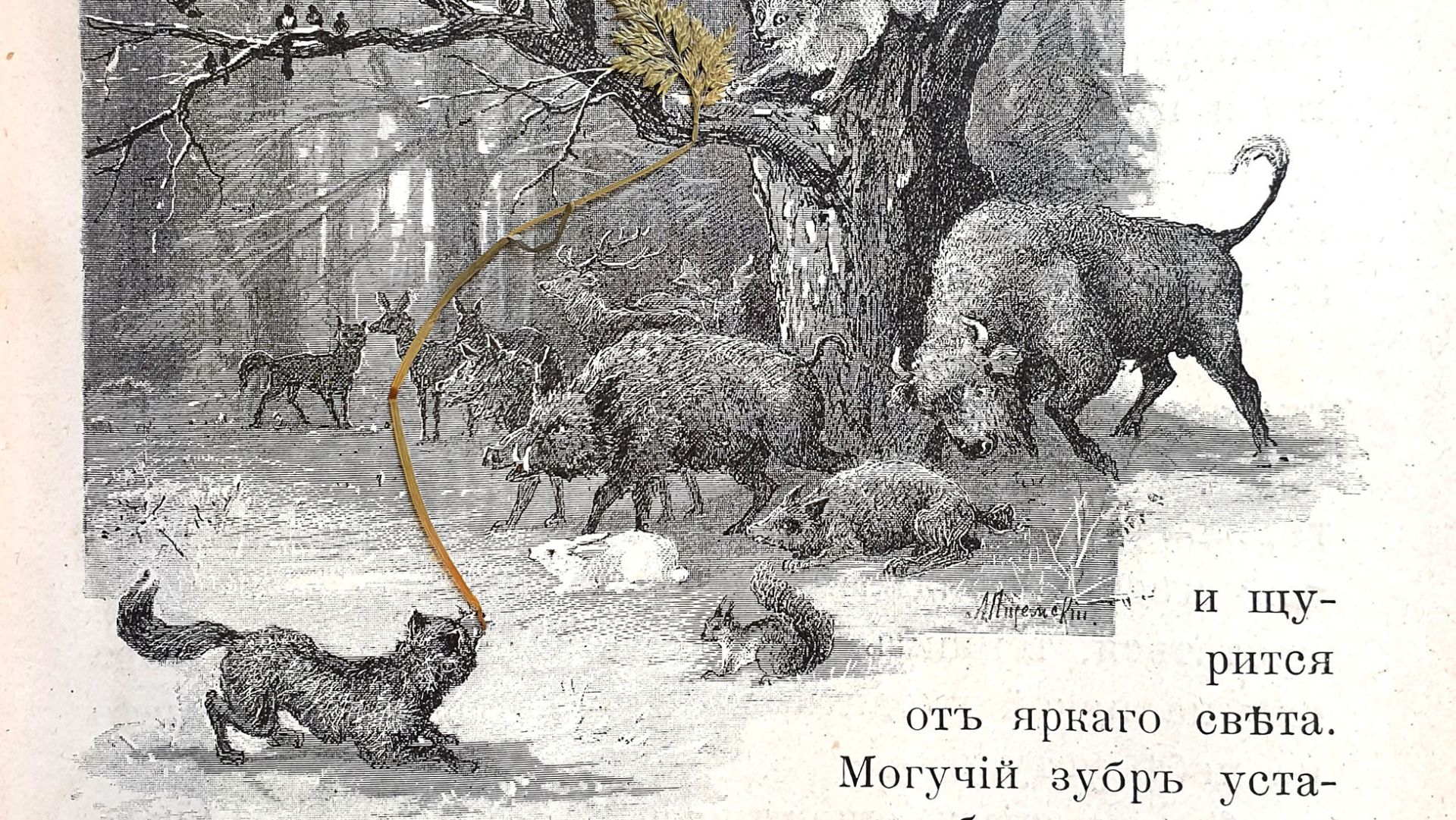 Рождественская сказка «Елка в лесу». М.Н. Кладо. смотреть онлайн