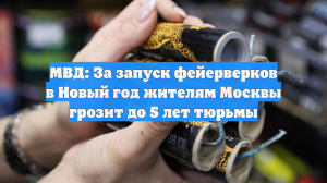 МВД: За запуск фейерверков в Новый год жителям Москвы грозит до 5 лет тюрьмы