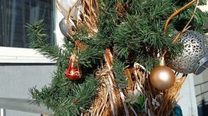 АЙГОР**ЖИЗНЬ ИГРА*"ЗАМЕЧАТЕЛЬНЫЙ ПОСЛЕДНИЙ ДЕНЬ 2025 ГОДА. АВТОРУ ПЕСНИ  БРАВО....