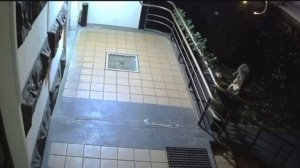 Видео от Аварийка LIVE | ДТП и ЧП России