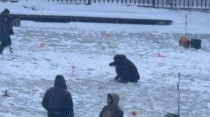 Поимка Форели