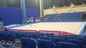 Без предметное Художественная гимнастика Васильченко София