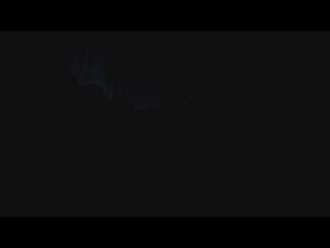 Выживаю в TheLongDark