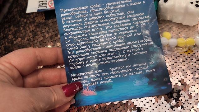 Фокусы, дастаем игрушки из волшебного мешка смотреть онлайн