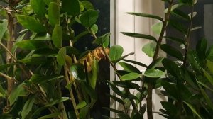 О себе пару слов...