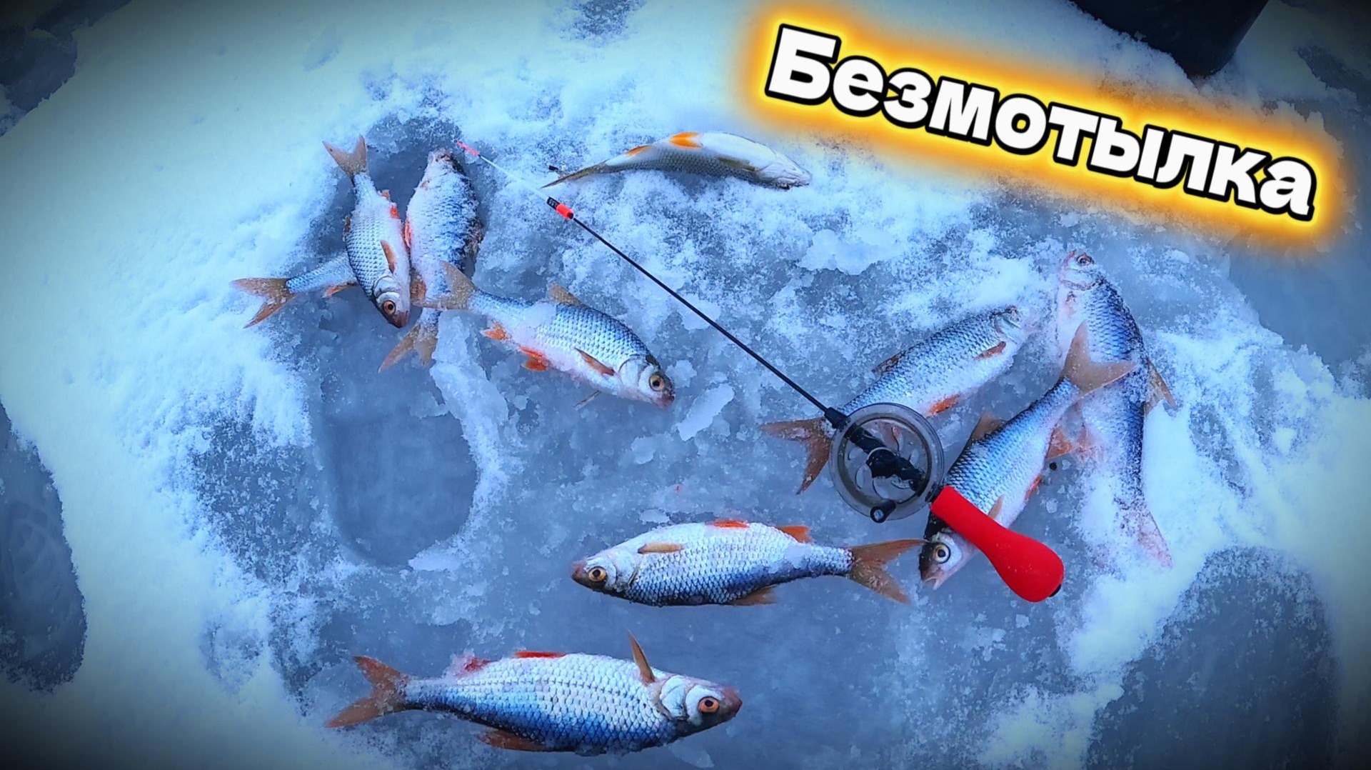 Ловля ПЛОТВЫ в ЦЕНТРЕ ГОРОДА! смотреть онлайн