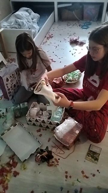 VID20260101134406 смотреть онлайн