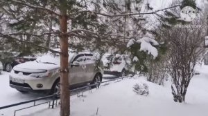 УТРО. 1 ЯНВАРЯ. ВСЕ ДРЕМЛЮТ. А снег идёт ,а снег идёт... Всё так бело!