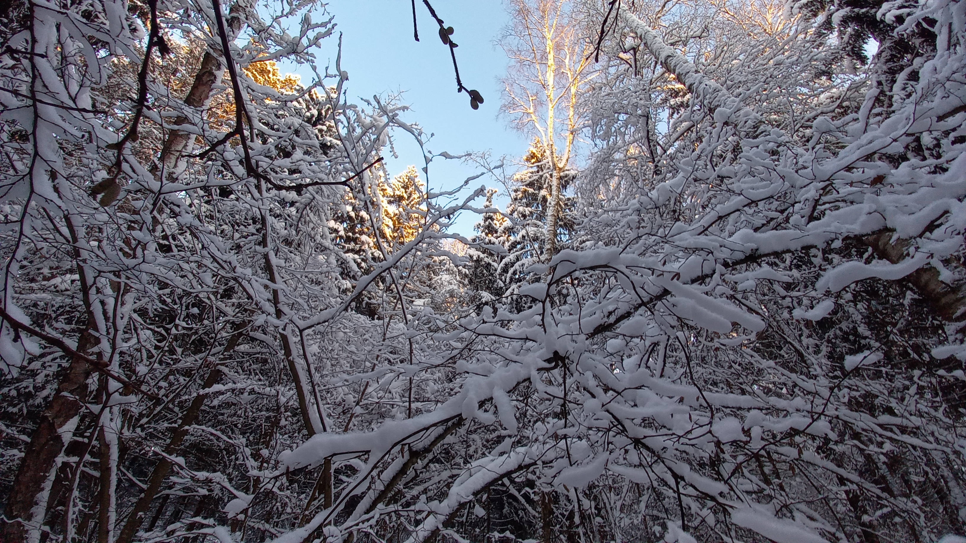 СУМАСШЕДШИЕ СКИДКИ смотреть онлайн
