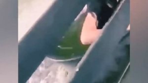 Прилетело неожиданно подпишись