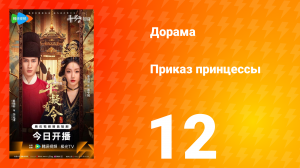 Приказ принцессы 12 серия