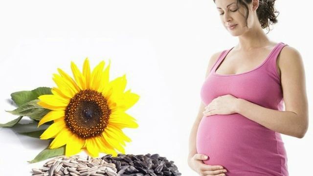 семечки подсолнуха. польза и вред 2019 смотреть онлайн