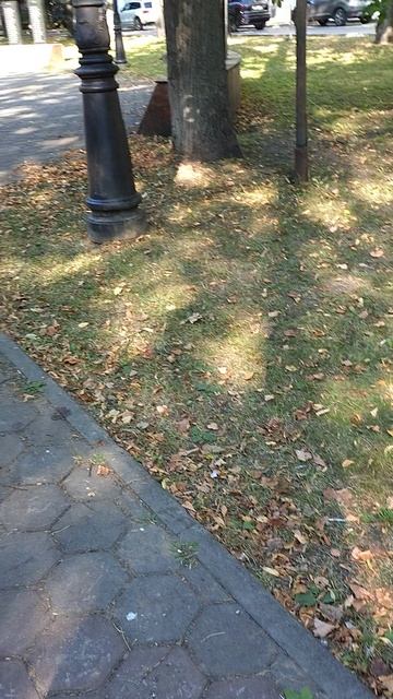 №565	Комсомольский проспект. 15 августа 2025 г., 15:36:17 VID_20250815_153603237