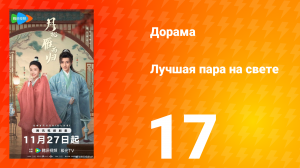 Лучшая пара на свете 17 серия