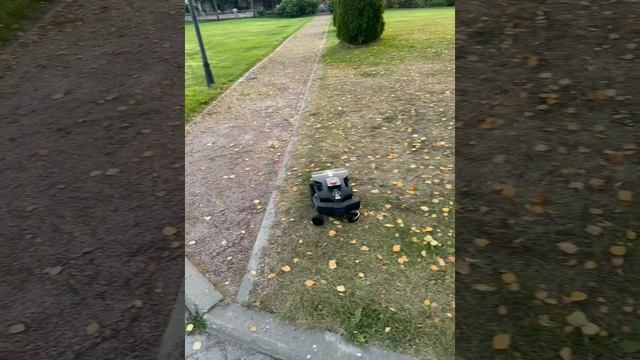 Karelia смотреть онлайн