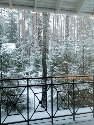 Пою песню кусаю губЫ