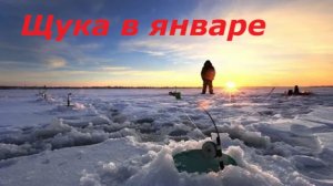 КАК ЛОВИТЬ ЩУКУ в ЯНВАРЕ? МЕСТА и ВРЕМЯ для ЛОВЛИ ЩУКИ! СНАСТИ для РЫБАЛКИ ЗИМОЙ
