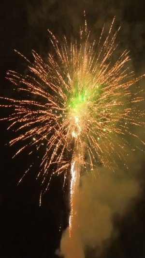 Новогодний салют 2026 г. Главная ёлка.