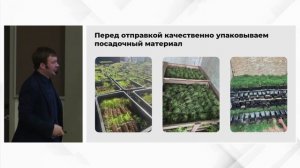 Владимир Колесниченко - Технология выращивания сеянцев видовых хвойных. Часть 3