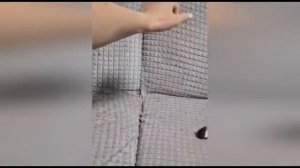 Прикольные моменты с животными 🤪🐼