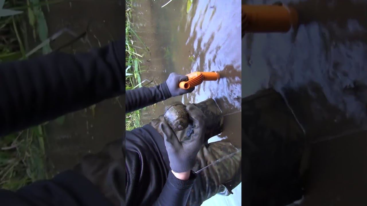 Опасные находки в реке, раскопки по войне #находкисметаллоискателем смотреть онлайн