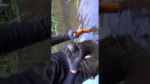 Опасные находки в реке, раскопки по войне #находкисметаллоискателем
