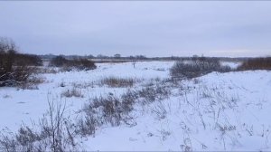 1 января лыжный поход у реки.