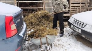 ЧЕМ ЗАНИМАЕМСЯ 1 Января?